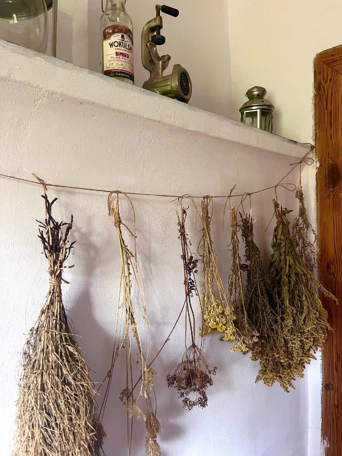 Agroturystyka U Koziolka Dlugowola Екстериор снимка